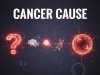 top 10 Cancer causes?