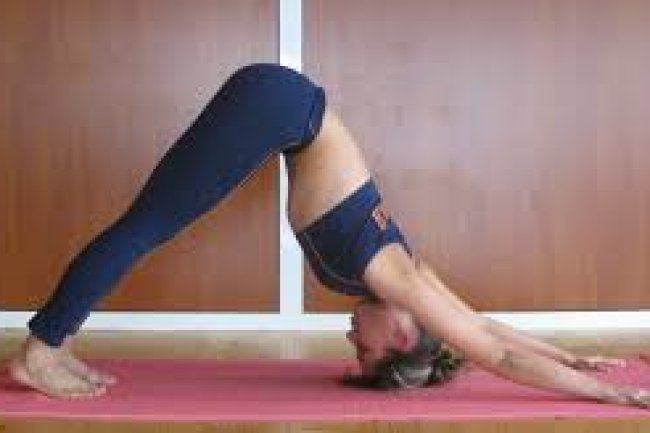 top 10 Basic Yoga Poses