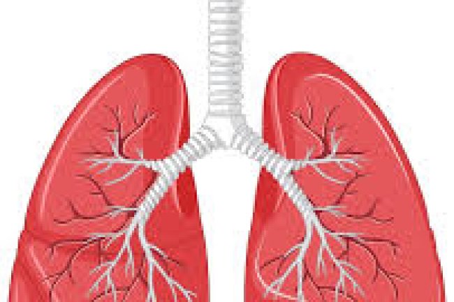 how to detox lungs ?