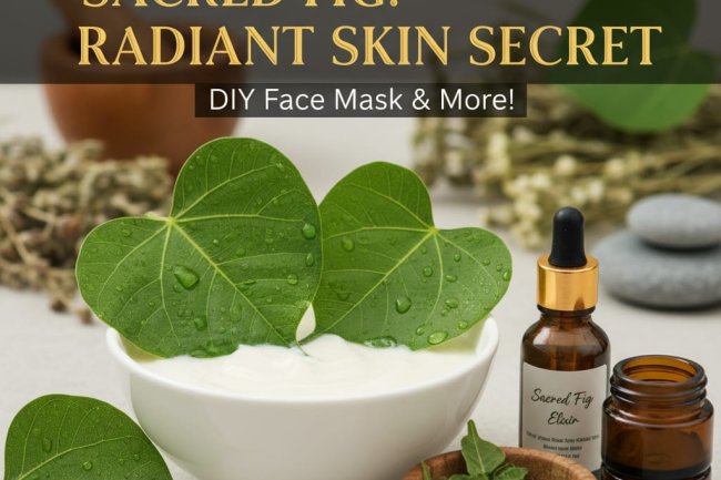 Peepal tree/sacred fig tree leaves using for skin ?