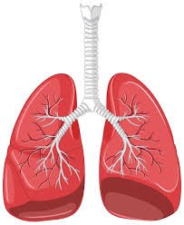 how to detox lungs ?