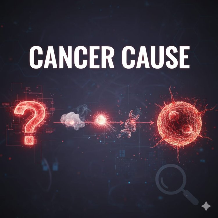 top 10 Cancer causes?